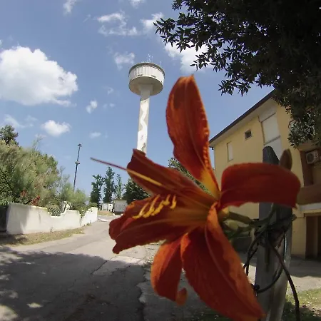 Lampedusa 119 Διαμέρισμα *